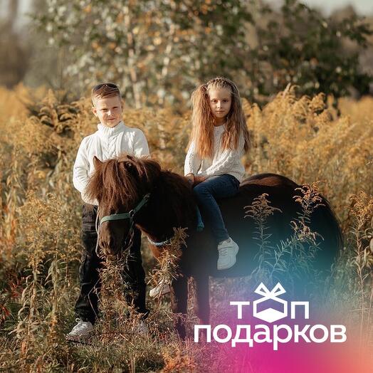 Подарочный сертификат Индивидуальное катание на пони для 1 ребенка (1 час) (Московская область)