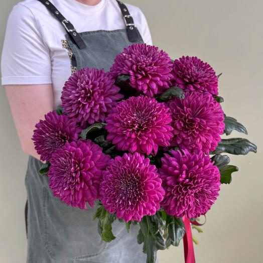 Букет из пурпурных хризантем с атласной лентой, M