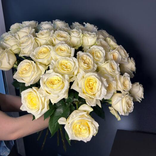 Розы Кэндлайт