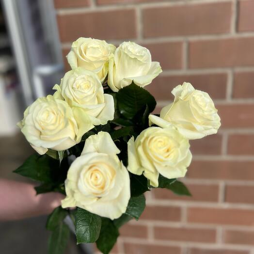 7 white roses 60 cm