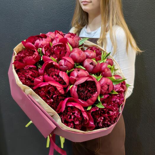 Букет из 25 бордовых пионов (код 298)