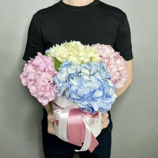 Букет Гортензии микс в коробке 5 шт