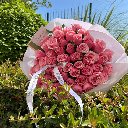 61 roses roses