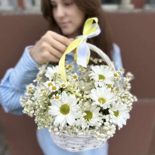 Корзина с ромашками и гипсофилой