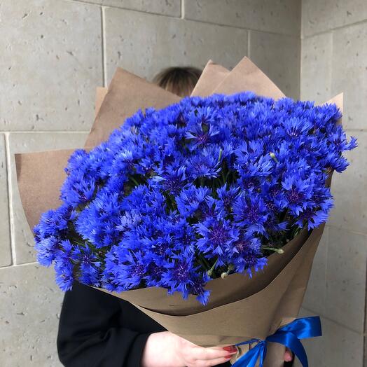 Васильки 💙