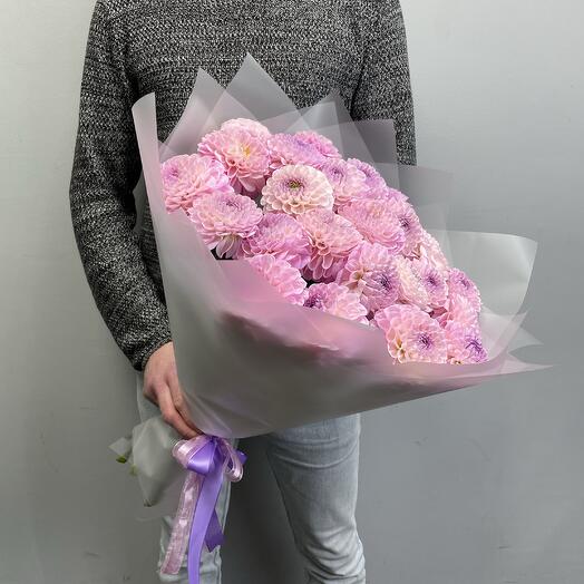 Георгины 25 штук