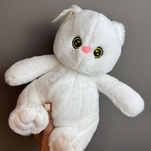 Котик