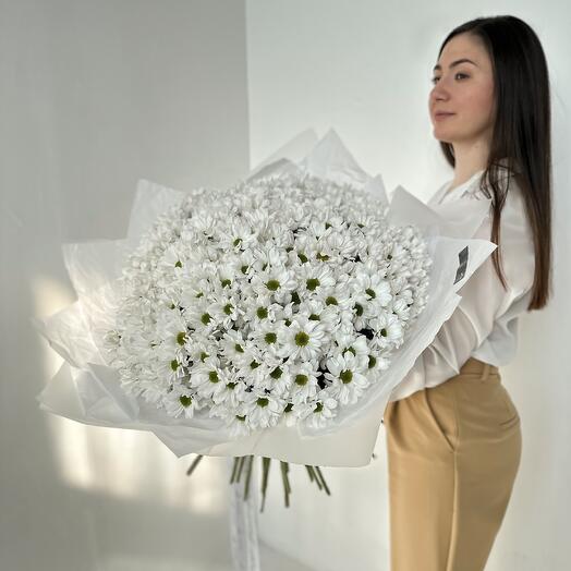 Монобукет из 51 хризантемы Бакарди