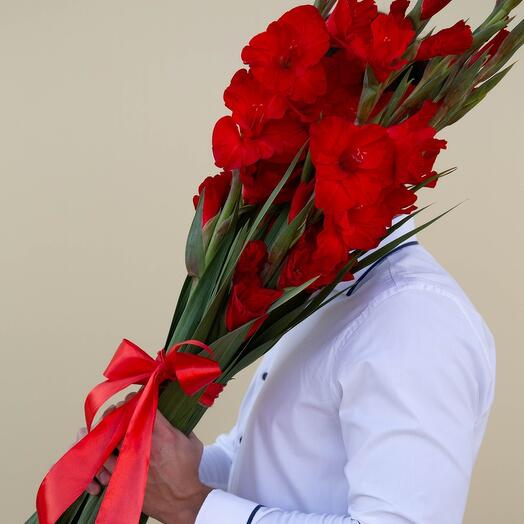 Красные гладиолусы, 5 шт