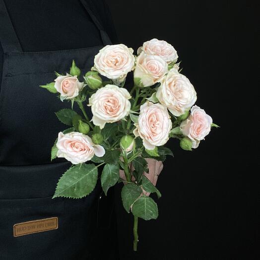 Кустовая роза