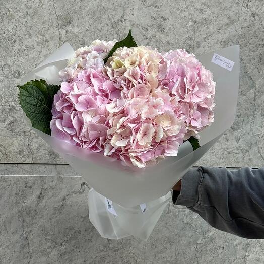 Воздушное облако из розовой гортензии💌 5шт
