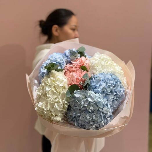 Облако гортензий