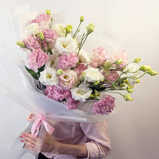 Pink and white eustoma