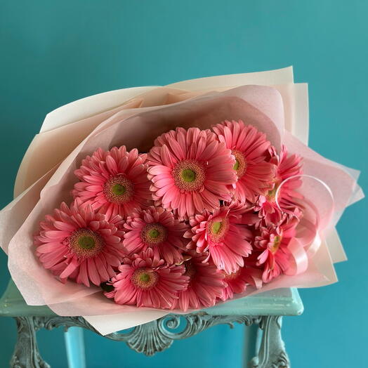 13 gerberas