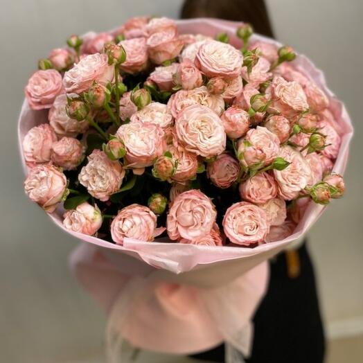 Мадам бомбастик