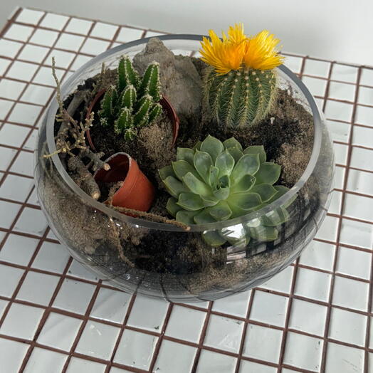 Сад в вазочке