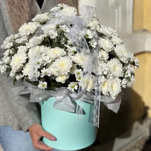 Хризантема микс в коробке