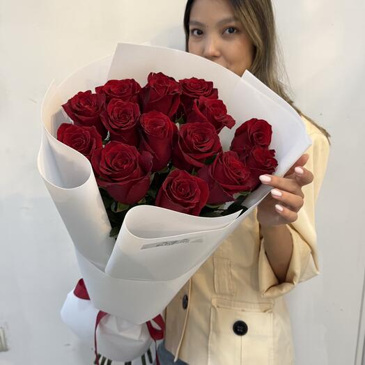 Голландия 100см