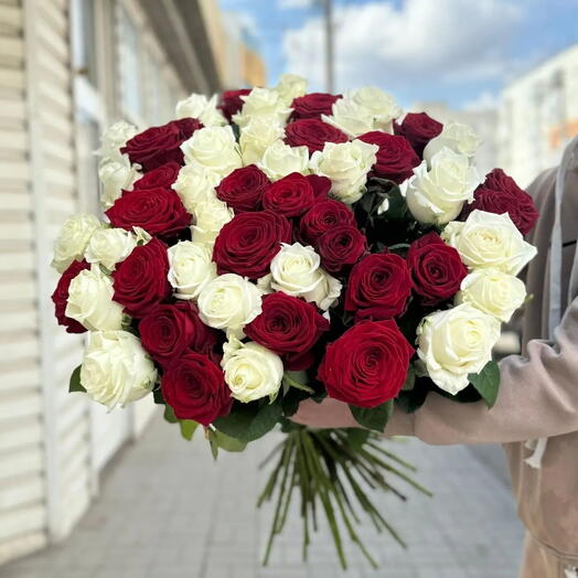 51 роза микс красные и белые 70см