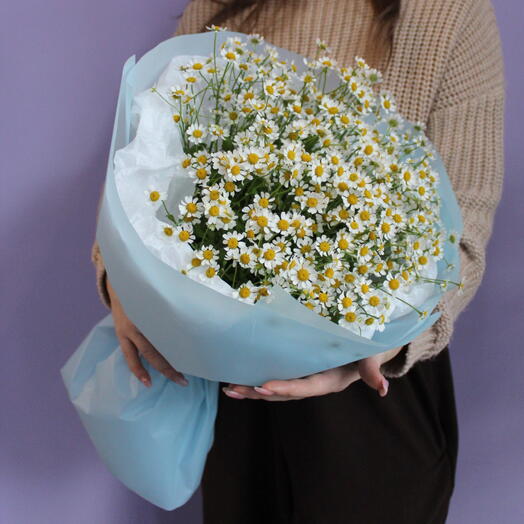 Букет кустовых ромашек, 11 штук