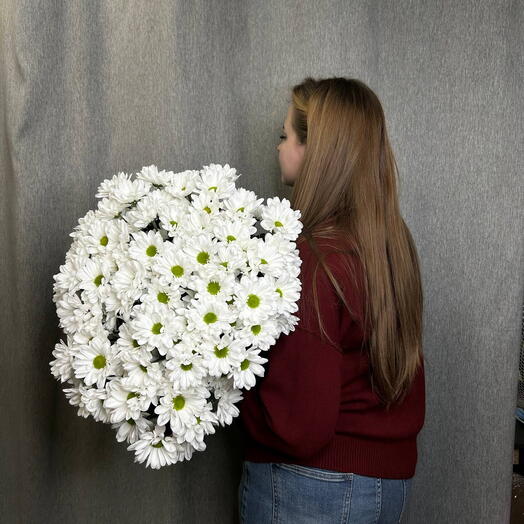 Букет из 15 кустовых ромашек(хризантем)
