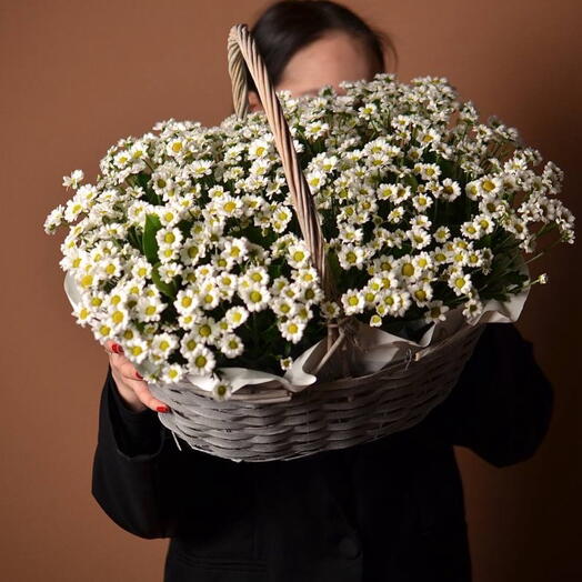 Корзина с кустовыми ромашками ( Сантини )