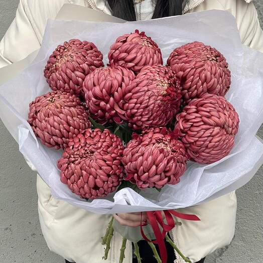 Сезонное предложение ️ 9 хризантем Бигуди (Red)