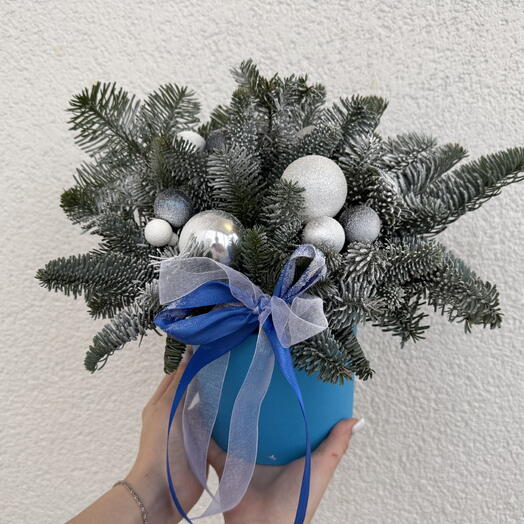 Ель в коробке🎄