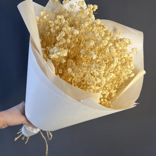 Букет из 5 гипсофил сухоцвет