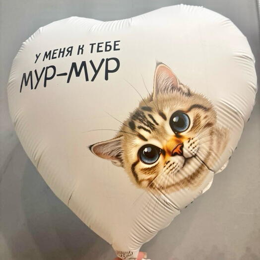 Шар " у меня к тебе Мур-Мур "