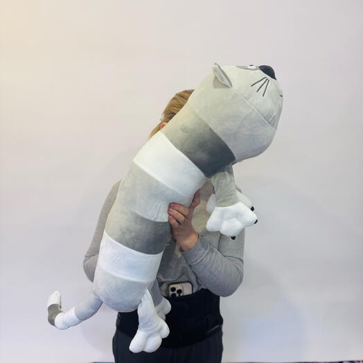 Кот