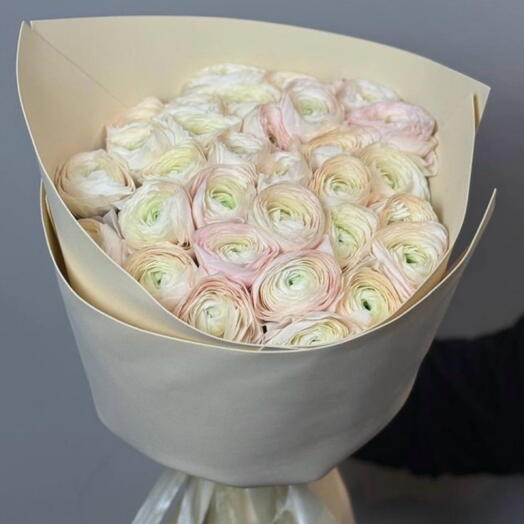 Ранункулюсы 35 шт
