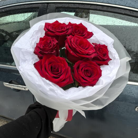 Роза Эксплорер 🌹