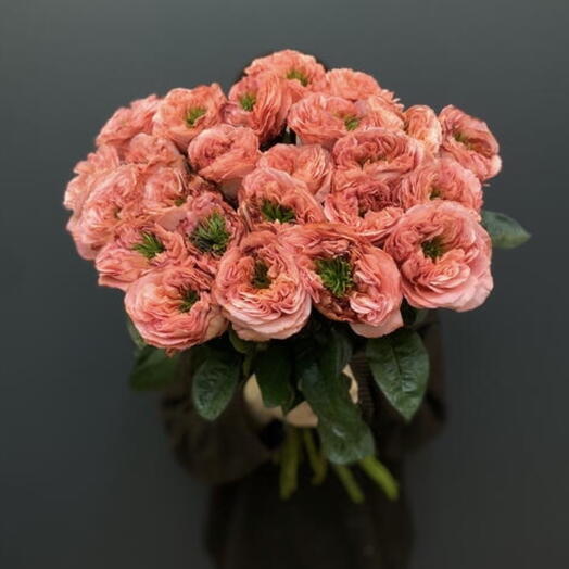 Мандариновые розы 25