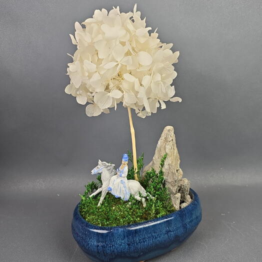 Мини сад, Белая всадница