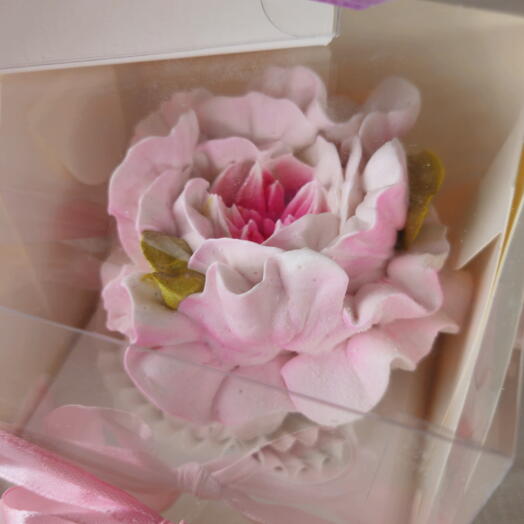 Зефирный пион