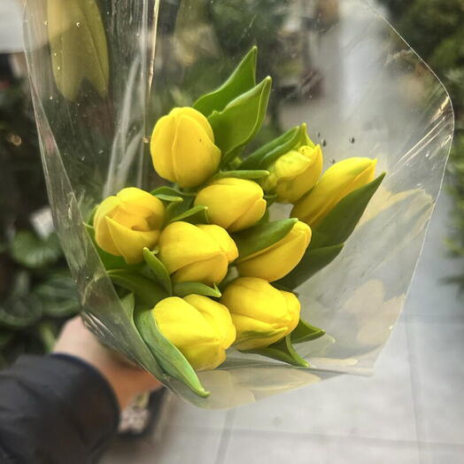 Тюльпаны