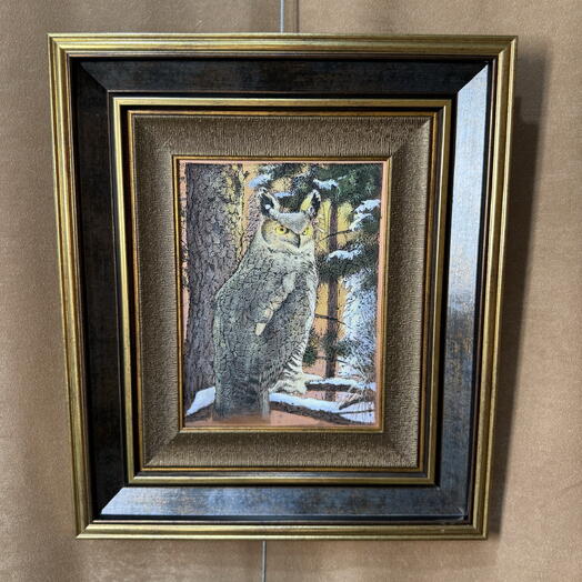 Engraving "Owl-a symbol of wisdom"