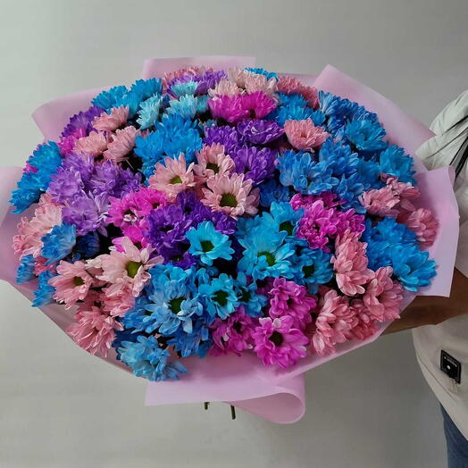 Хризантемы кустовые крашеные 35