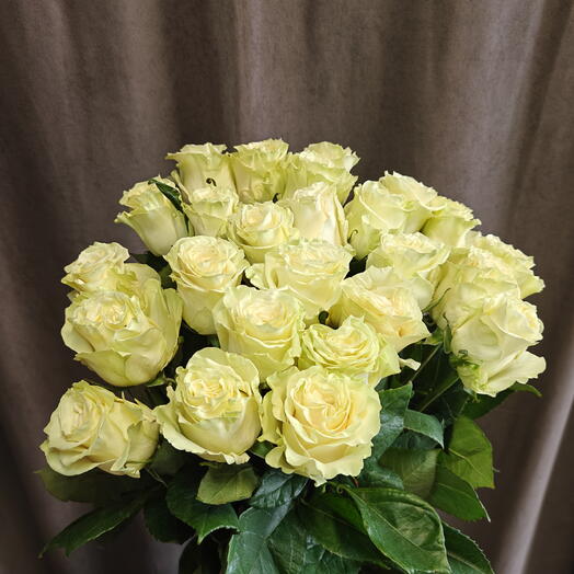 Роза Мондиаль 25