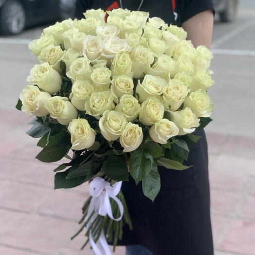 51 белая Роза сорт Мондиаль