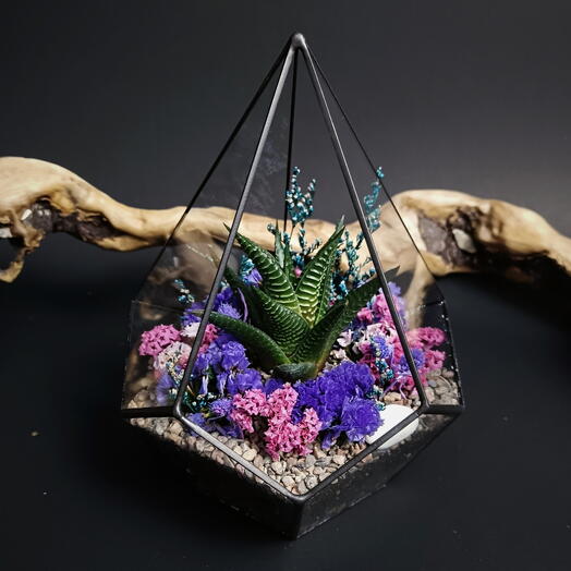 Флорариум с теневыносливой хавортией «Нескучный Сад»