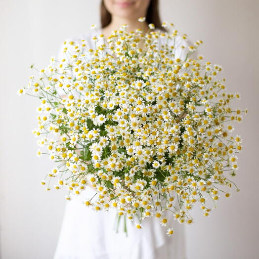 Моно букет из ромашек