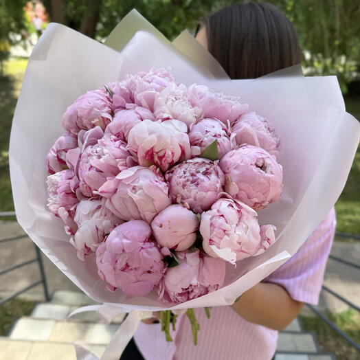Розовые пионы 19 штук