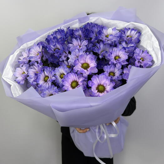 7 ромашковых фиолетовых хризантем💜