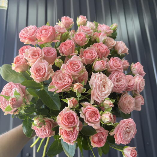 Роза кустовая малиновая 💐