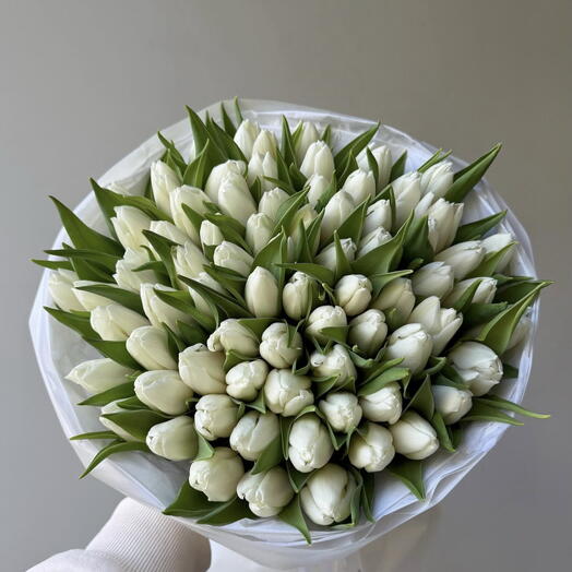 50 Tulip