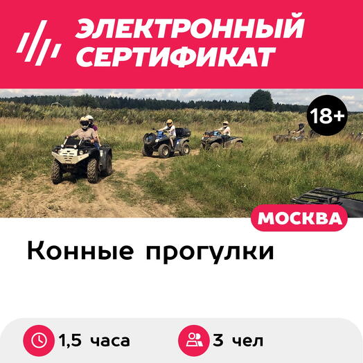 Подарочный сертификат Прогулка на лошади и катание на квадроцикле для 3 человек (1,5 часа)