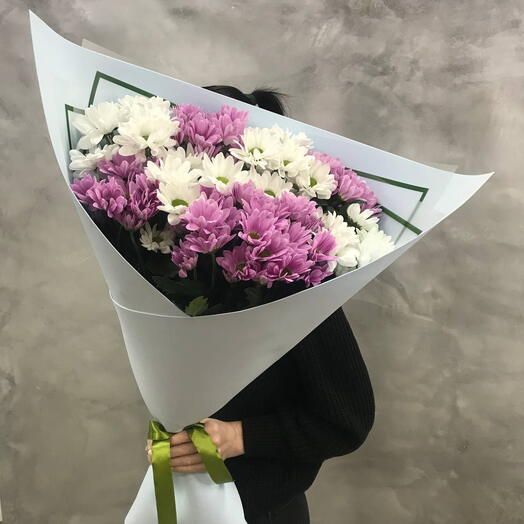 Ромашковое поле бело-розовое