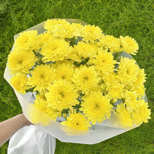 Моно букет из жёлтой кустовой хризантемы💛